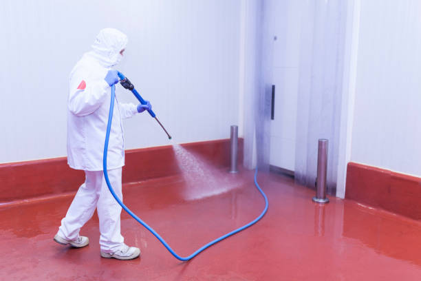 Best Building Exterior Washing  in Westfield, MA